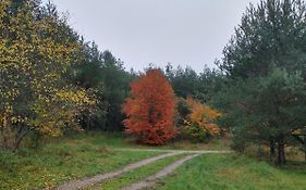 Agroturystyka Leśna Babka