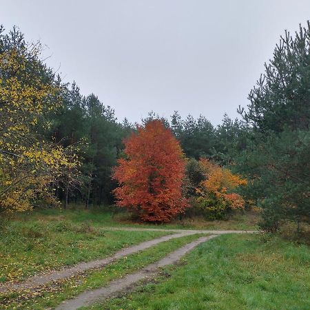 Agroturystyka Leśna Babka Jastrowie Zewnętrze zdjęcie