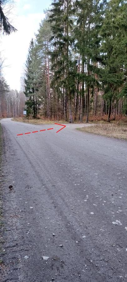 Agroturystyka Leśna Babka Jastrowie Zewnętrze zdjęcie
